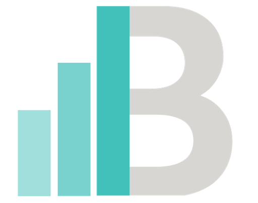 Brevocity-Full-Logo-Transparent-Background[1] (3)